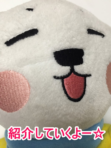 紹介するぞ