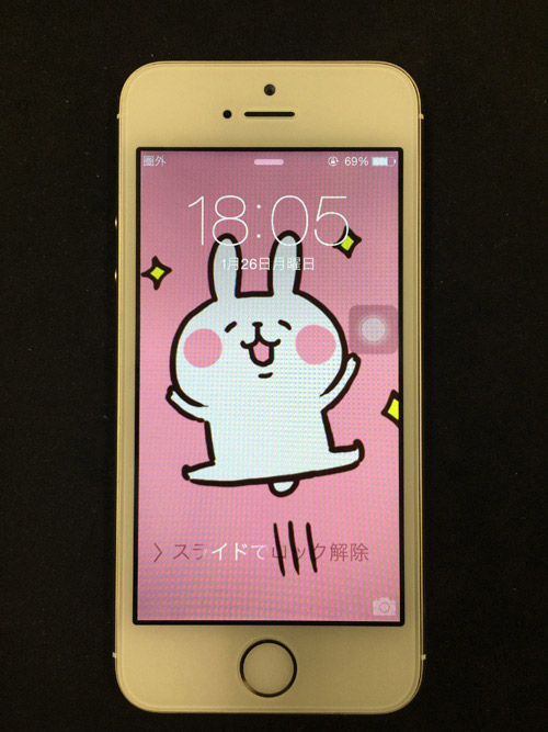 うさちゃん復活!