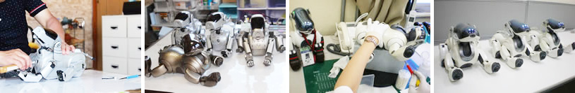 AIBO(アイボ)の修理事例