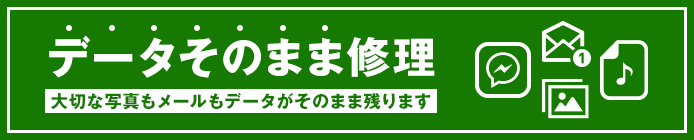 データそのまま!!